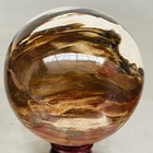 Natural Petrified Wood Polished Stone Quartz Crystal Sphere Ball Healing 1200G — photo 1