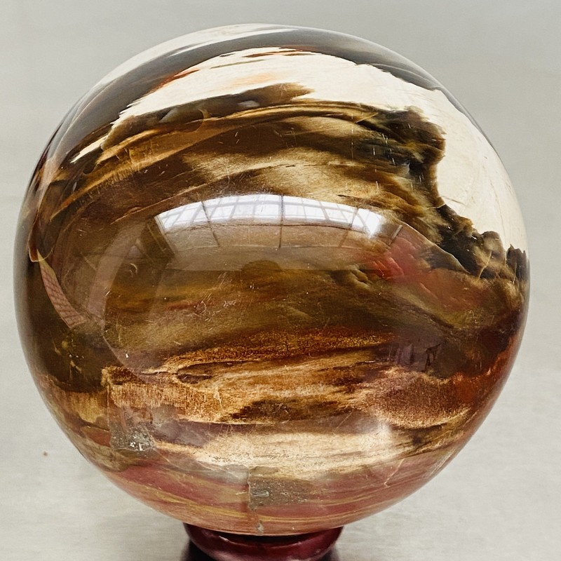 Natural Petrified Wood Polished Stone Quartz Crystal Sphere Ball Healing 1200G