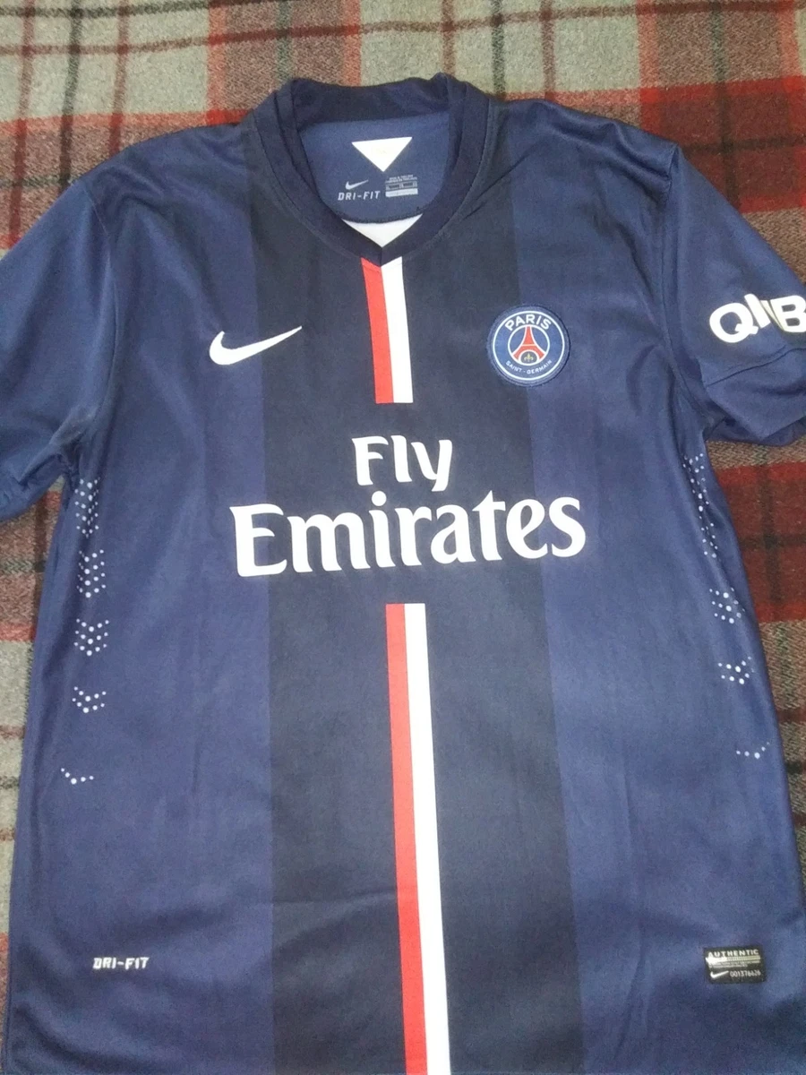 Zlatan Ibrahimovic Paris Saint-Germain International Club Soccer
