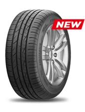FORTUNE Viento FSR702 225/40R18XL 92V (Quantity of 1)
