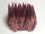 thumbnail 14  - Beautiful 50pcs/100pcs rooster tail feathers 10-15cm / 4-6inch 30 Colors