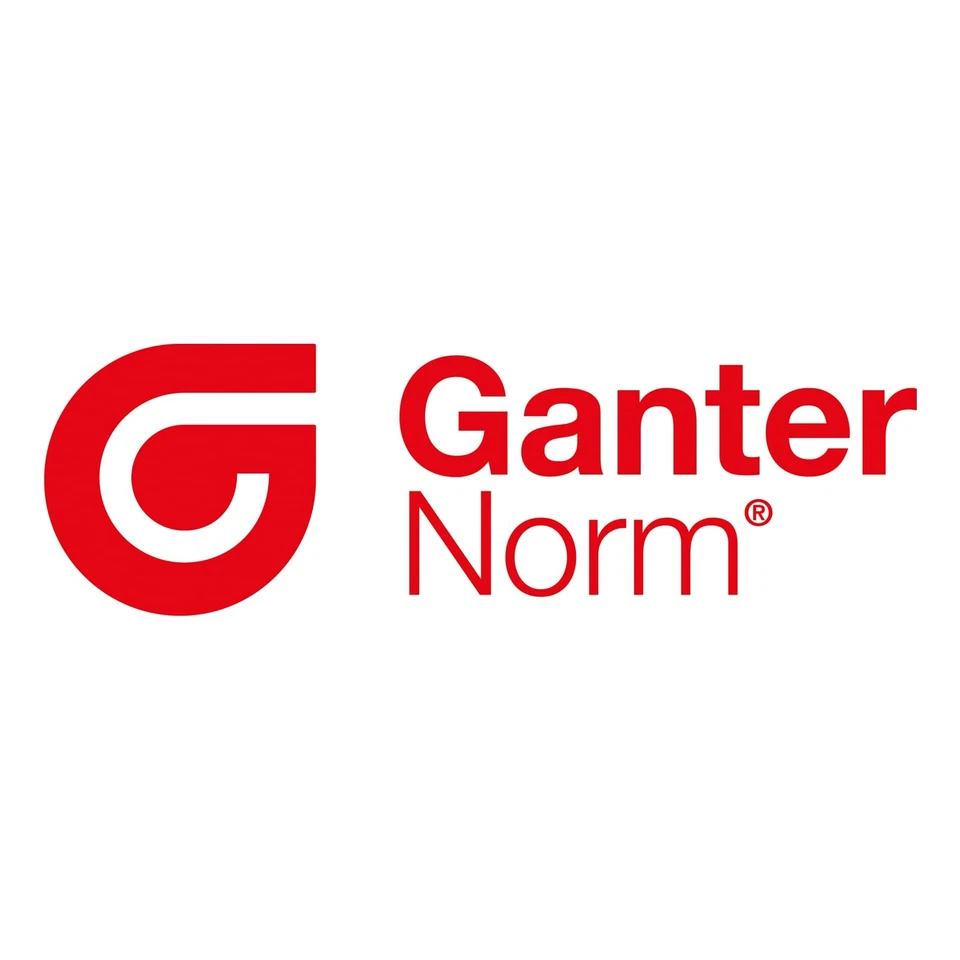 | Vis à oreilles plates | Vis à oreilles forme basse | DIN 653-M6-12-NI | 2 p... Foto 3 de 3