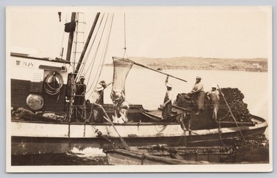 Vintage 1925 Real Photo Postcard Pacific NW Humpback Salmon Purse Seining RPPC