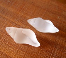 PICK COLOR 2pc 26mm Conch Shell Pendant Sea Glass frosted Bead recycled drilled