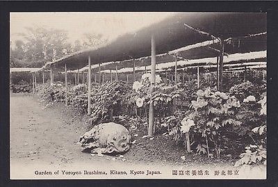 JAPAN 19(?) 3x POSTCARDS KYOTO GARDENS OF YOROYEN IKUSHIMA KITANO