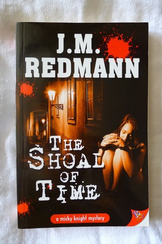 (10) BOLD STROKES BOOKS Lesbian Novels - Beecham Brooke Fletcher Vali Redmann ++ - Foto 10 di 12