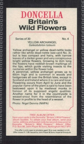 YELLOW ARCHANGEL - 35 + year old English Tobacco Card # 4 - Picture 2 of 2