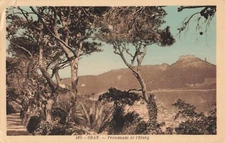 Postcard Oran. - Promenade De L' Etang, Unposted VTG VPC01.