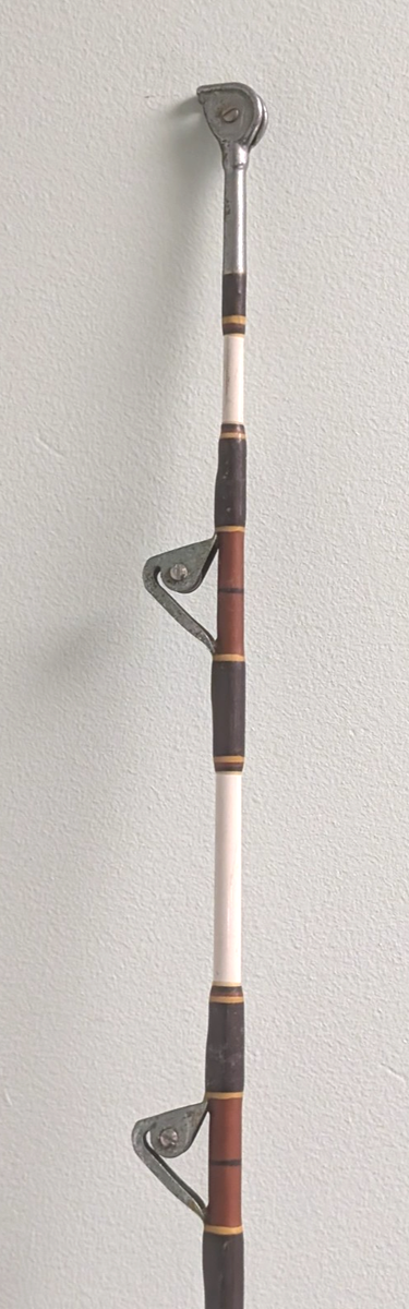 Fenwick Fenglass IGFA 50 Rod | eBay