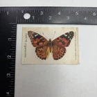 Vtg TOKIO Cigarette Tobacco PAINTED LADY BUTTERFLY Silk 32D4