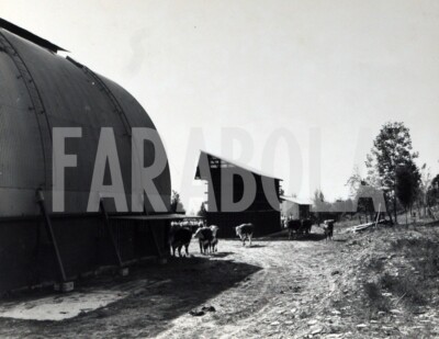 Photo de presse vintage Chine Grande Muraille Années 70 FT 1510