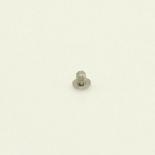Wave Ebel Band Screw to Case 2.6 mm Head Size Bracelet Screw to Case Wave Sport - Picture 12 of 23