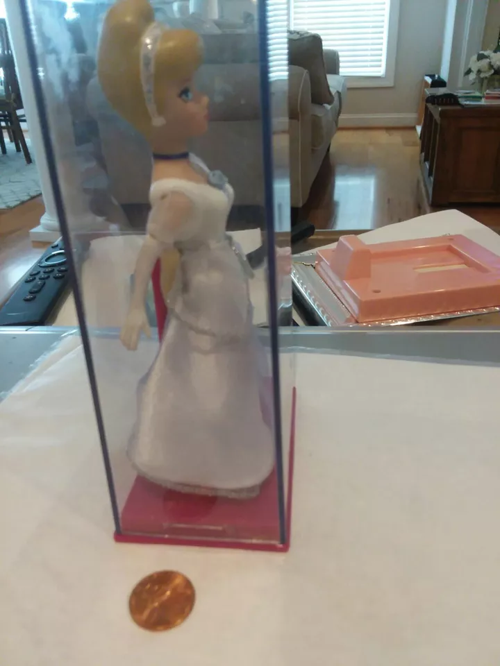 Picture 5 of 5