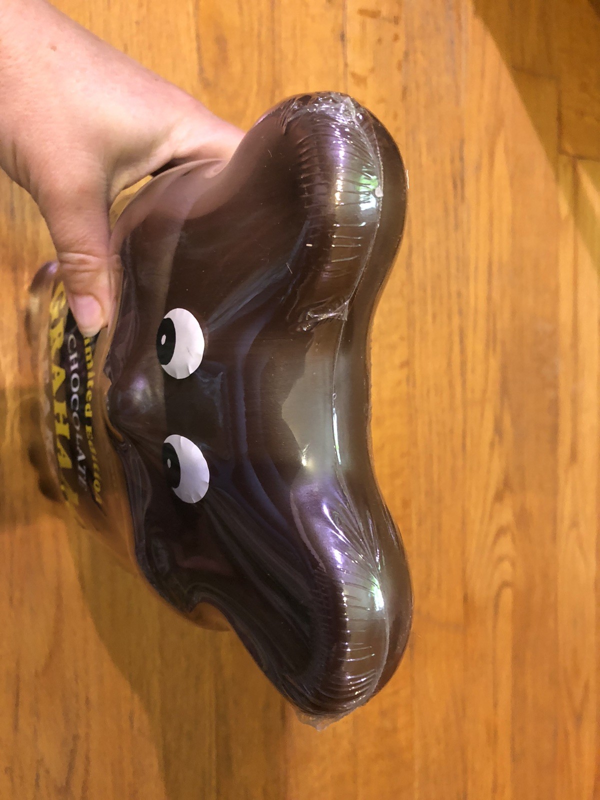 Street Kids Teddy Bear Plastic Blow Mold Coin Bank Graham Storage Brand New VTG