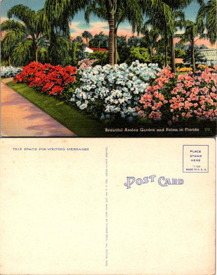 VTG Postcard - Beautiful Azalea Garden and Palms in Florida THIS SPACE FOR WRIT