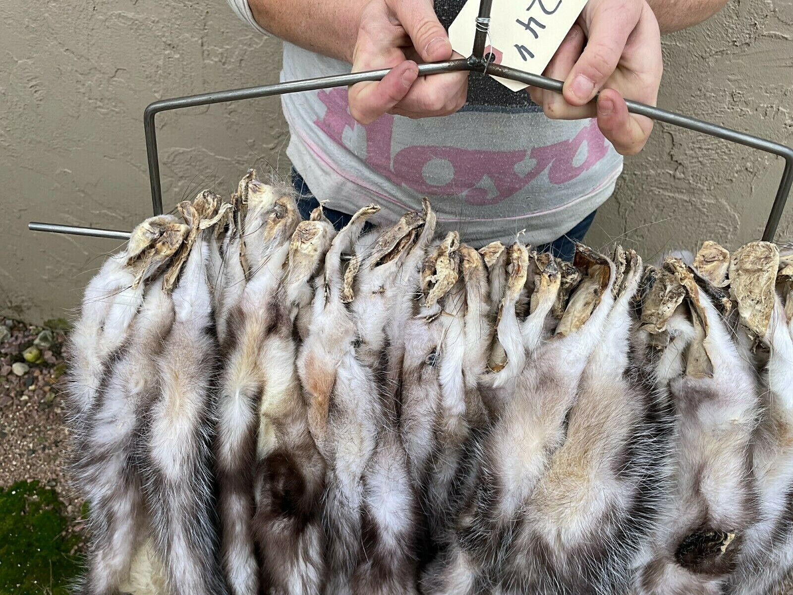 Soft Tanned Possum, pelt, hide, fur Good gur (pos) eBay