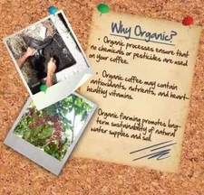 BRAZILIAN SANTOS COFFEE BEANS MEDIUM ROASTED 2 POUNDS IN 1 POUND BAGS