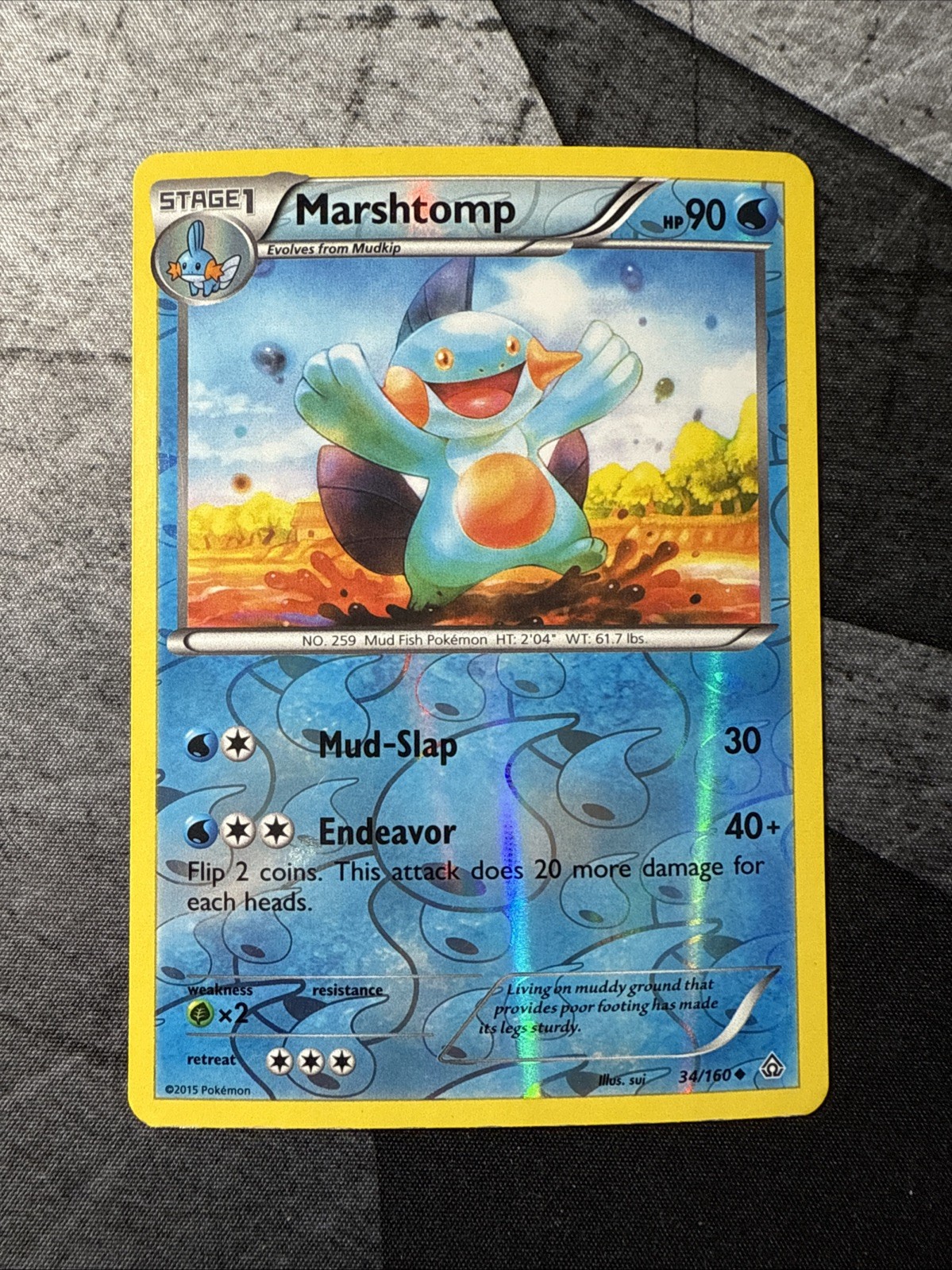 Pokemon Reverse Holo Marshtomp XY - Primal Clash 34/160 LP
