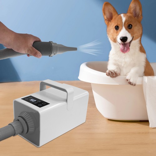 White Pet Grooming Dryer, 2200w Pet Hair Dryer Adjustable Temperature 35-60℃
