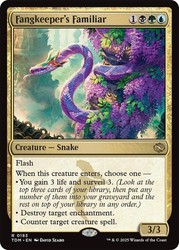 Fangkeeper's Familiar 183 Tarkir: Dragonstorm Rare MTG