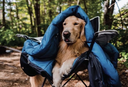 Whyld River's Original Sleeping Bag Size Medium 40-60lb Dogs Teal Blue