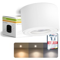 Aufbauleuchte SMOL-W Led Birne 3 Lichtfarben Warm Neutral Kalt IP44 Aufbauspot