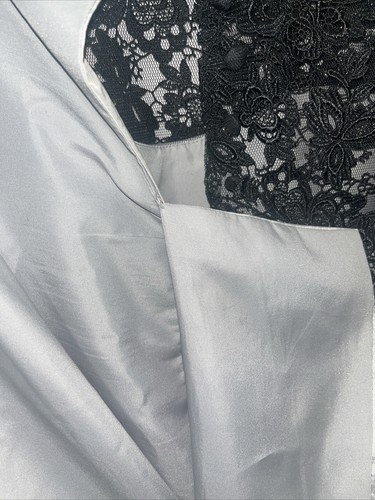 RARE Watters & Watters Mother of the Bride CORSET Bodice Ruffled Waist dress 20w - Picture 17 of 17