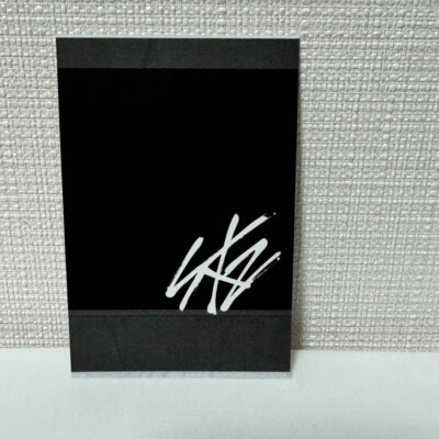 Stray Kids SKZ Felix / Hi-stay in seoul / Polaroid Photocard Stray Kids SKZ Felix / Hi-stay in seoul / Polaroid Photocard