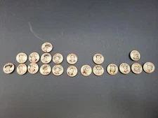 1948 Set of 20 Quaker Puffed Wheat & Rice Movie Star Cereal Premium Pins