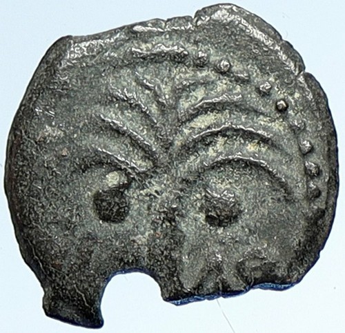 MARCUS AMBIBULUS Augustus Jerusalem Ancient 8-9AD BIBLICAL Roman Coin i107385 - Afbeelding 1 van 3