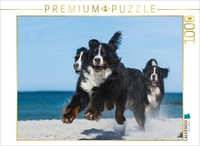 Calvendo Puzzle An Image From The 2017 Bernese Mountain Dog Calendar | 1000 Piec