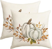 Fall White Pumpkin Throw Pillow Covers 18x18 Set of 2 Outdoor Autumn Orange