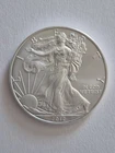 American Silver Eagle 1 oz coin random date