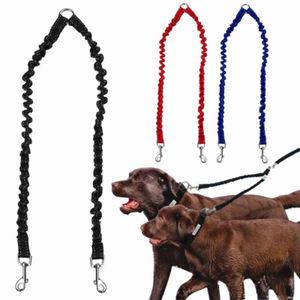 double dog leashes