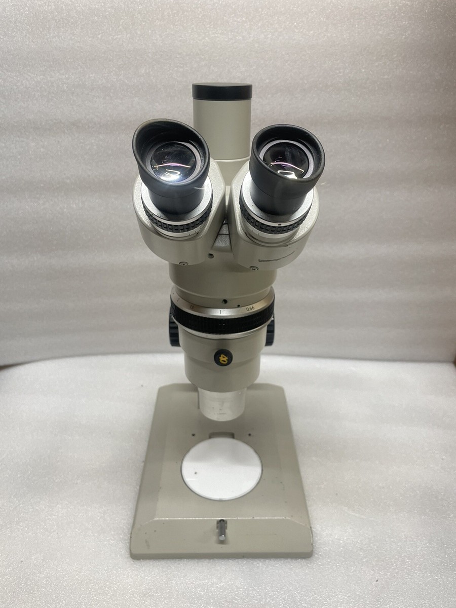 NIKON SMZ-10A STEREO MICROSCOPE | eBay NIKON SMZ-10A STEREO MICROSCOPE | eBay