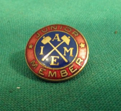 Vintage American Institute of Mining Engineers Junior Member Lapel Pin ScrewBack