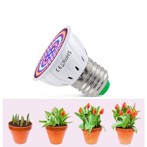 Pflanzenleuchte GU10 MR16 LED 5W 10W Birne Leuchtmittel Lampe Strahler Glühbirne - Bild 3 von 12
