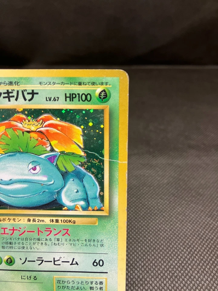 Pokémon Card Lot Japanese Venusaur & Dark Blastoise Holo Vintage Old Back MP - Image 4 of 4
