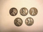 FIVE (5)  1943  D  LINCOLN  STEEL  ONE CENT COINS - Good Circulated