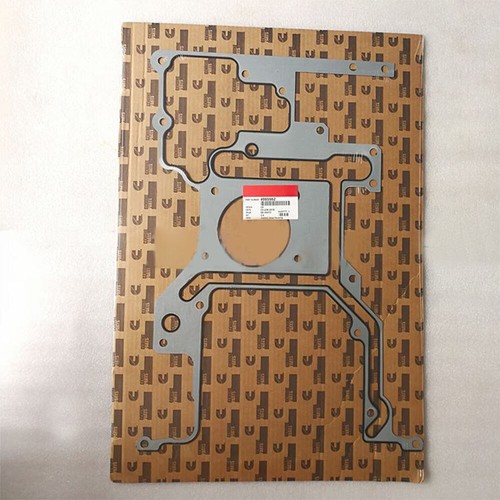 4089757 4101883 for Cummins ISX ISX15 Front Gear Housing Gasket eBay