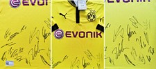 Trikot PUMA Borussia Dortmund 2012-2013 Home I Signiert Autogramme BVB Team