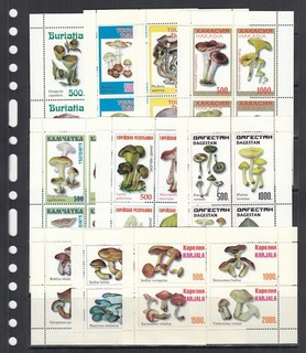 Mushrooms 1997 Buriatia Dagestam Tuva Udmurtia Small Collection 10 M/s perf Lot