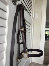 New Tory Leather Dark Oil Halter & Lead W/ Brass Fittings