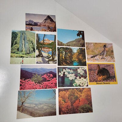 #ad 11 Vtg Uncirculated Postcards Of American Places Mountains Animals Cat#PC 203 $9.00