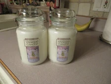 YANKEE CANDLE 2-22 OZ NEW SNOW GLOBE WONDERLAND-ICY MINT EUCALUPTUS CEDARWOOD FS