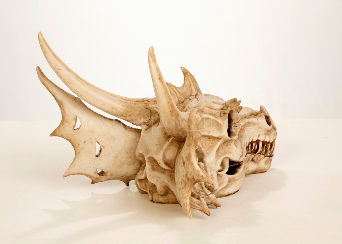 Pacific Giftware Ancient Jurassic Fossil Dinosaurs