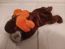 Ty Beanie Babies Chocolate the Moose DOB 04/27/93