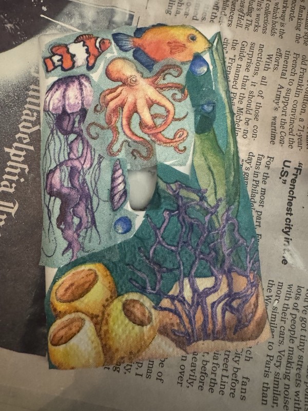 Switch Plate Cover