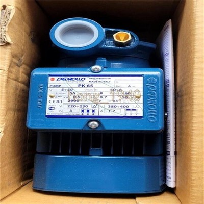 1PCS NEW Pedrollo PK65 Water Pump