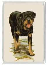 ROTTWEILER DOG FRIDGE MAGNET GREAT GIFT